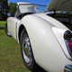 Illustration for article titled Concours on the Green. Eugene, Oregon.